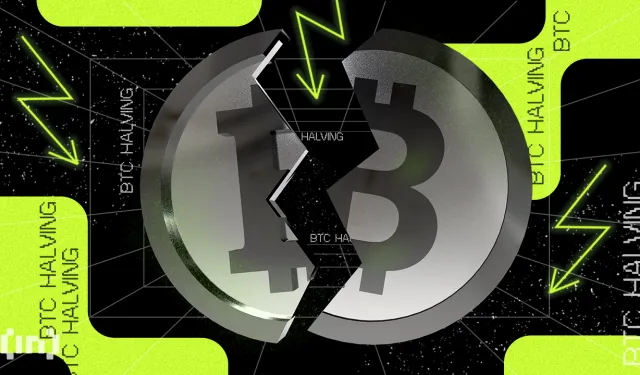 Nedir Bu Bitcoin Halving?